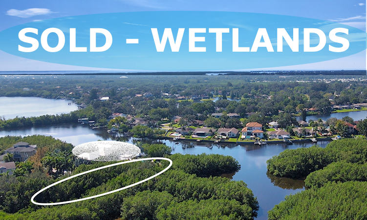 Wetlands Sold